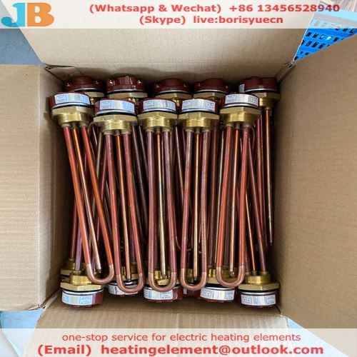 flanged heater element